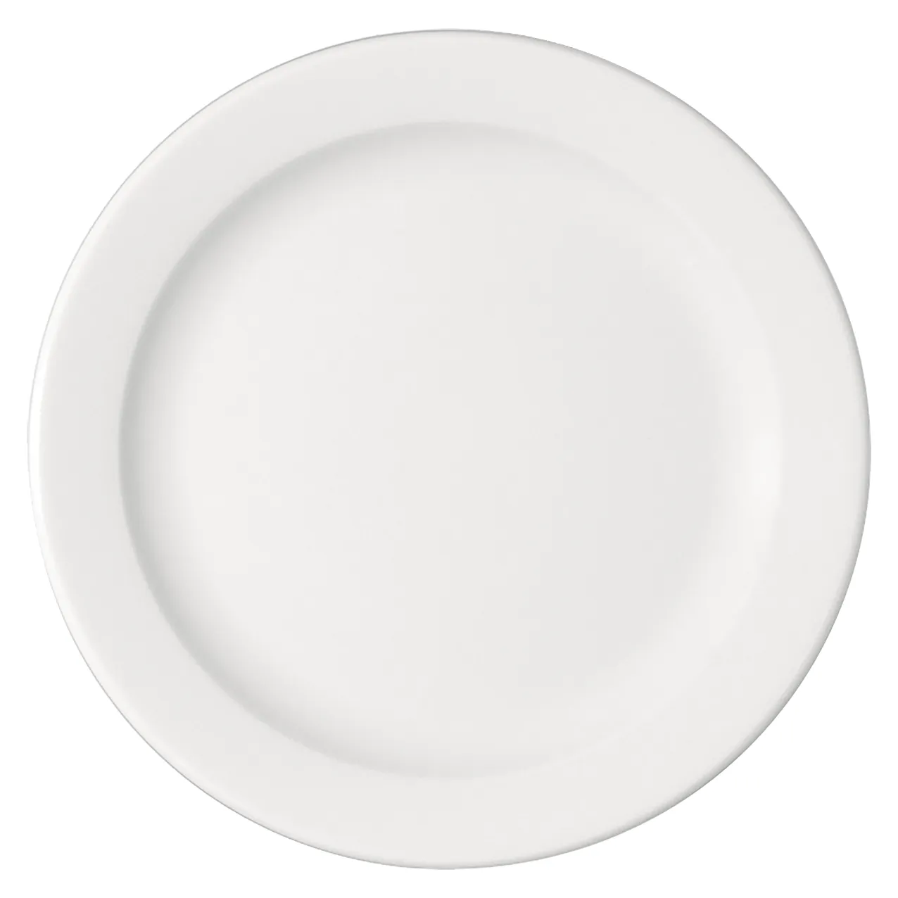 Bauscher B1100 Speiseteller flach Fahne 25 cm Bauscher B1100 Speiseteller flach Fahne 25 cm