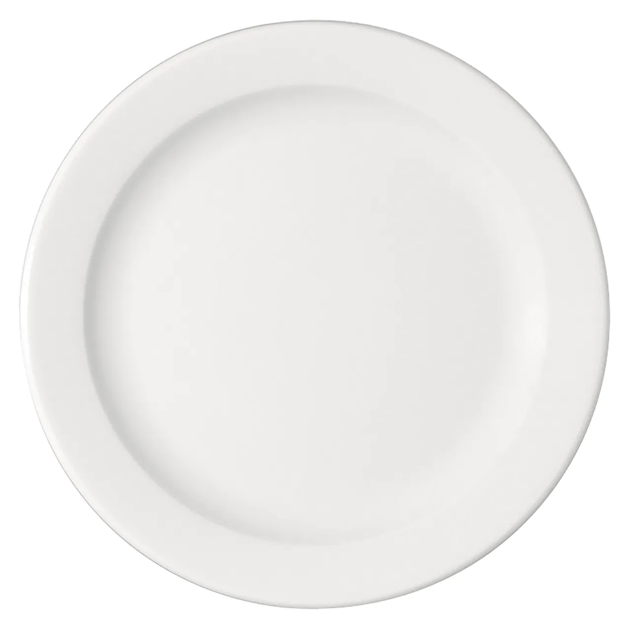 Bauscher B1100 Speiseteller flach Fahne 28 cm Bauscher B1100 Speiseteller flach Fahne 28 cm