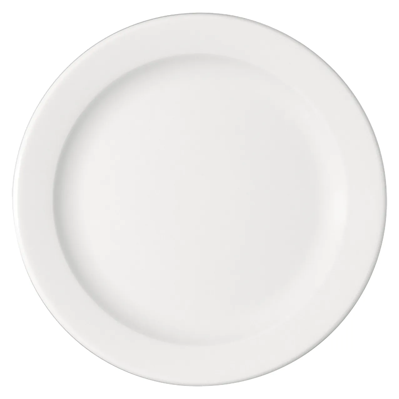 Bauscher B1100 Teller flach Fahne 24 cm Bauscher B1100 Teller flach Fahne 24 cm