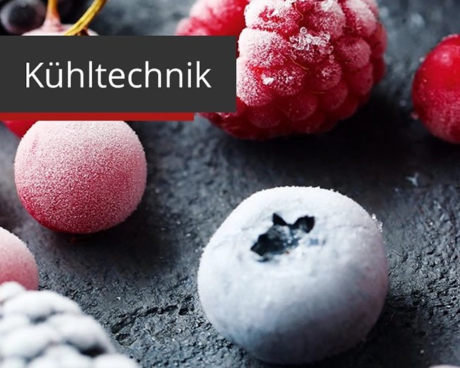 Startseiten Kategoriebild Kuehltechnik, obst, beere, frucht, eis, kühltech