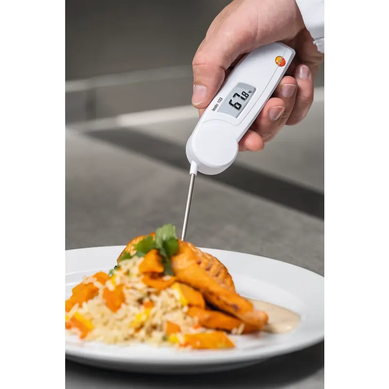 Testo 05600103 103 Einstechthermometer 6   Testo 05600103 103 Einstechthermometer Temperaturmessung bei einem Gericht auf einem Teller